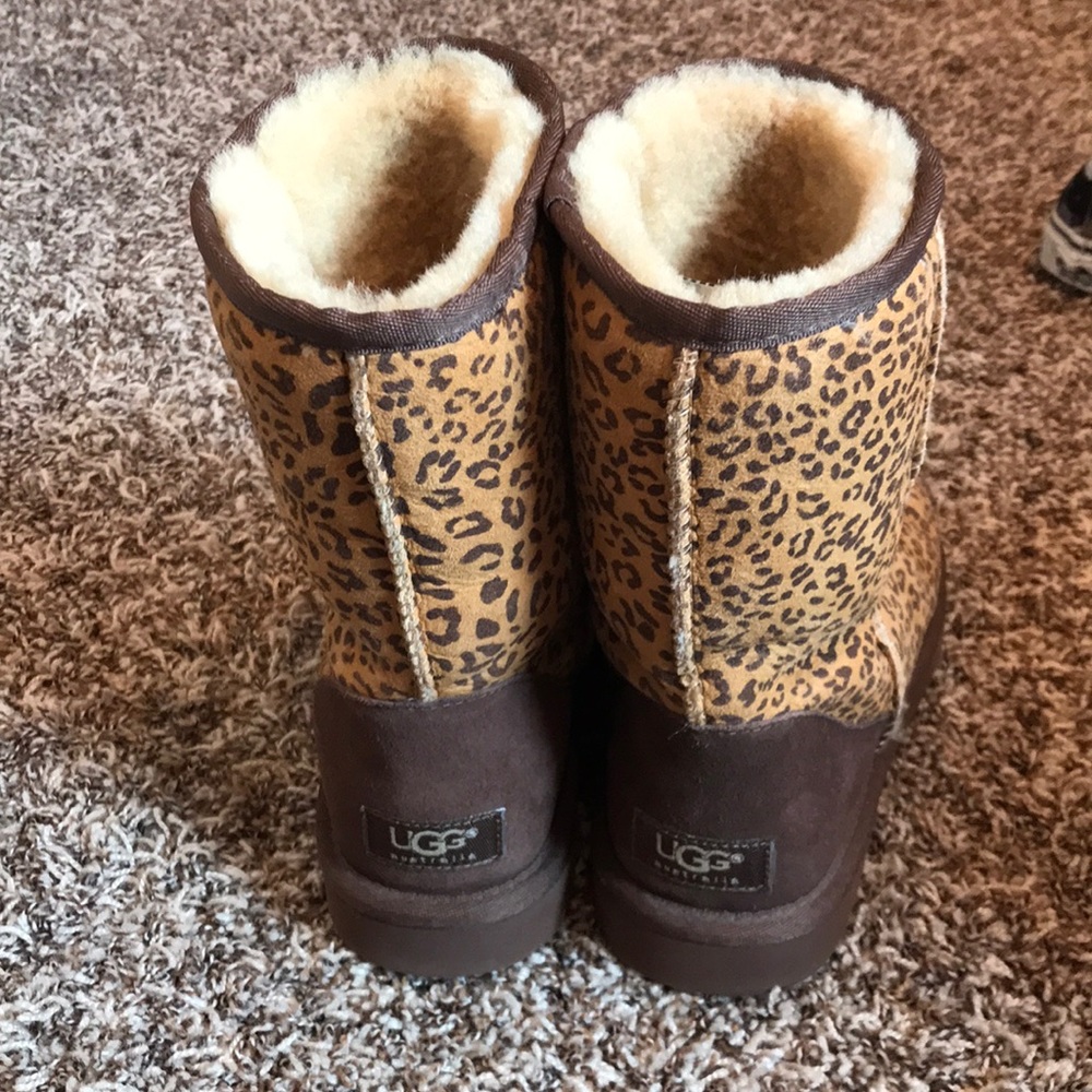 Cheetah uggs